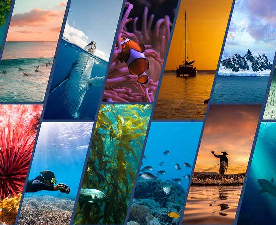Happy World Ocean Day poster – Persiadsddsdsdsn.png